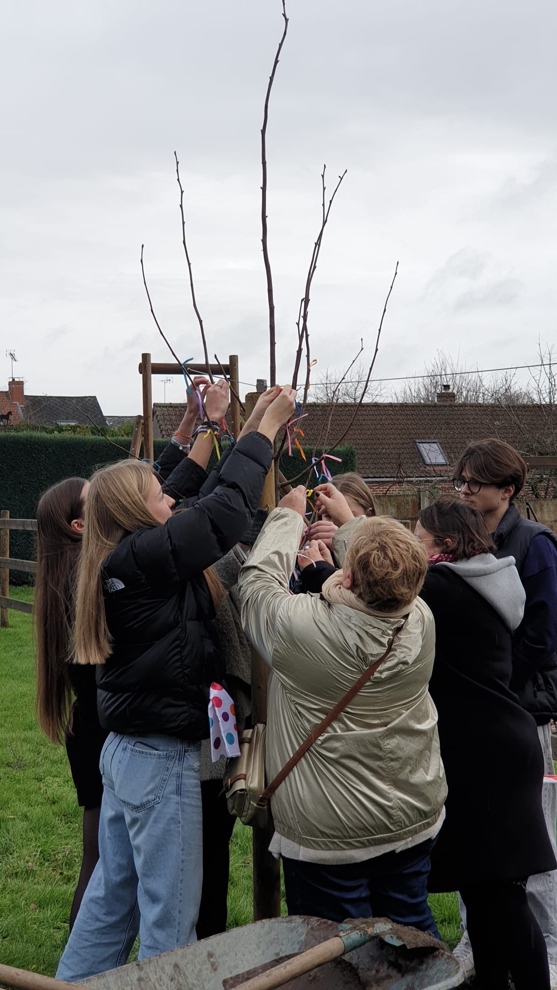 Plantation arbre Orsinval (1)
