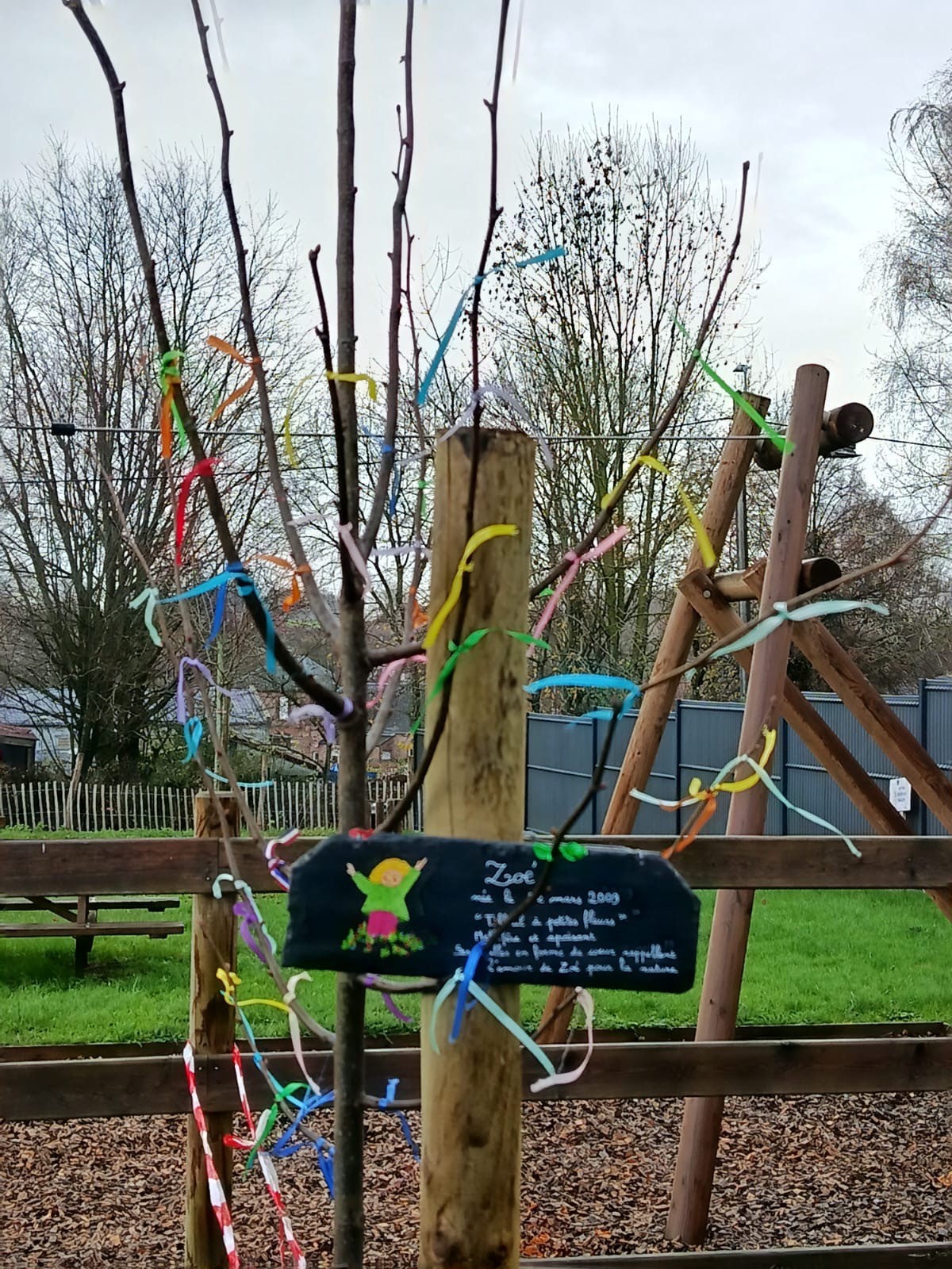 Plantation arbre Orsinval (5)