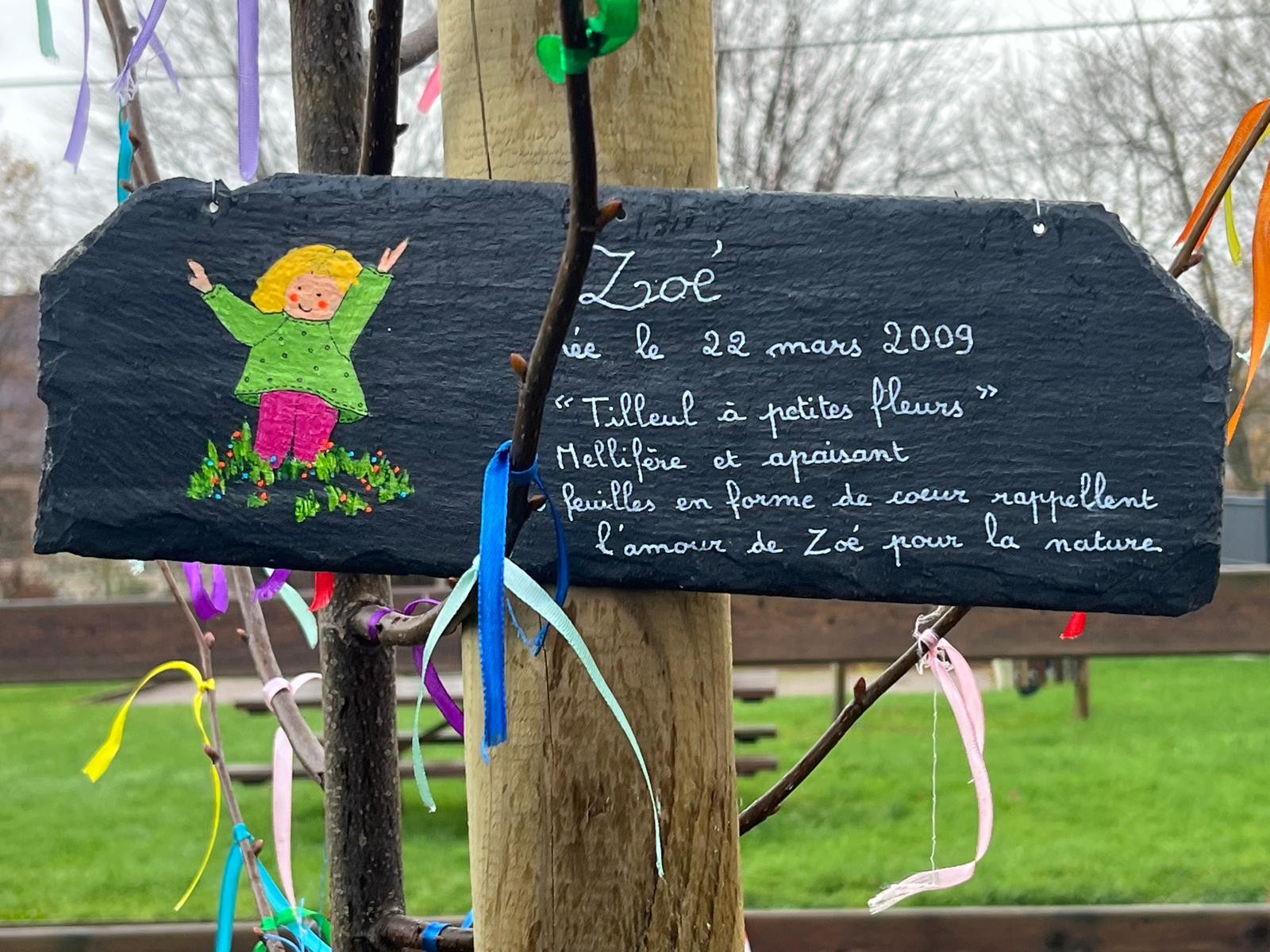 Plantation arbre Orsinval (6)